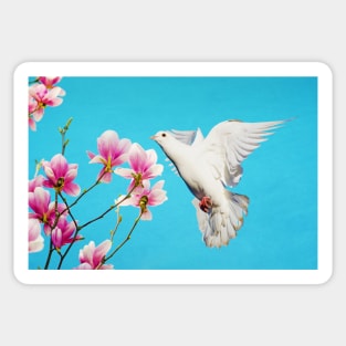 White Dove at Magnolia Sticker